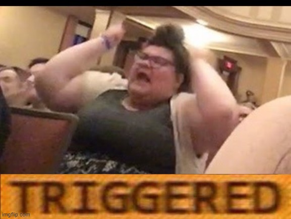 Triggly Puff | image tagged in triggly puff | made w/ Imgflip meme maker