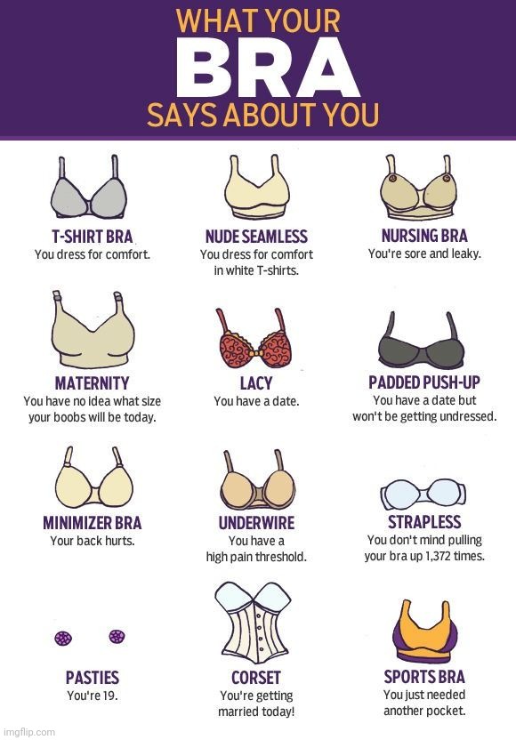 Which one are you? | image tagged in boom boom boobs | made w/ Imgflip meme maker