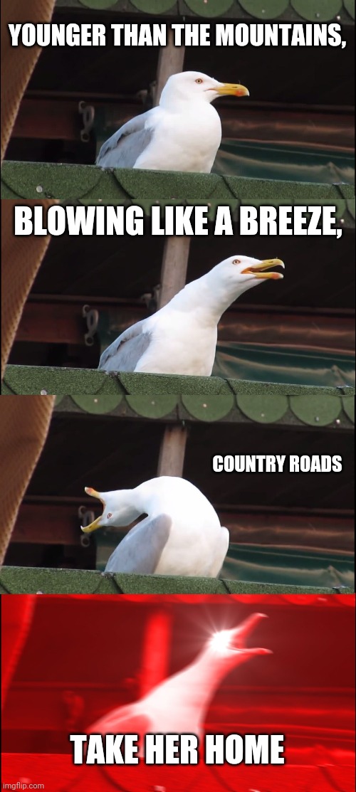 Inhaling Seagull Meme | YOUNGER THAN THE MOUNTAINS, BLOWING LIKE A BREEZE, COUNTRY ROADS TAKE HER HOME | image tagged in memes,inhaling seagull | made w/ Imgflip meme maker