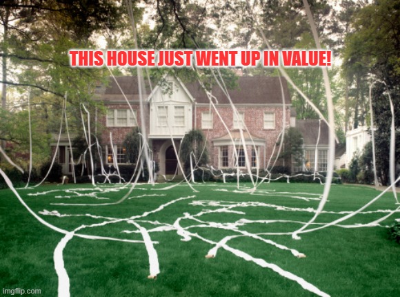 Toilet Paper house | THIS HOUSE JUST WENT UP IN VALUE! | image tagged in toilet paper house | made w/ Imgflip meme maker