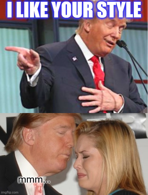 I LIKE YOUR STYLE mmm... | image tagged in bad pun trump | made w/ Imgflip meme maker