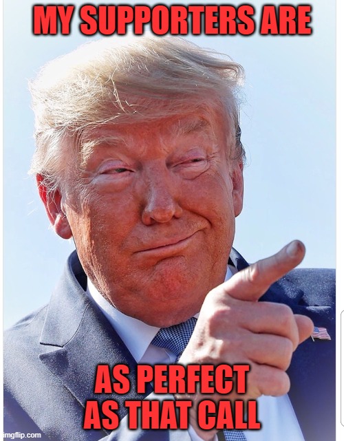 Trump pointing | MY SUPPORTERS ARE; AS PERFECT AS THAT CALL | image tagged in trump pointing | made w/ Imgflip meme maker