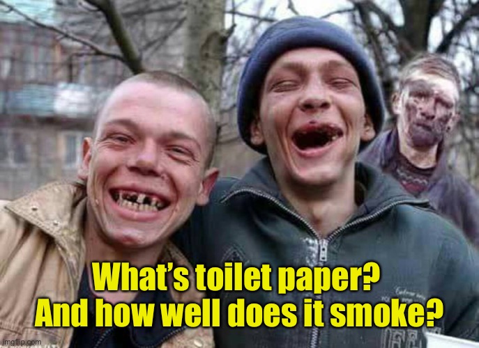 Methed Up | What’s toilet paper?  And how well does it smoke? | image tagged in methed up | made w/ Imgflip meme maker