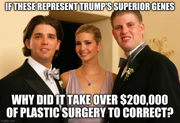 If these are Trump's Superior Genes then why $200,000 Plastic Surgery? | IF THESE REPRESENT TRUMP'S SUPERIOR GENES; WHY DID IT TAKE OVER $200,000 OF PLASTIC SURGERY TO CORRECT? | image tagged in trump children,trump,treason,liar,republican,sedition | made w/ Imgflip meme maker