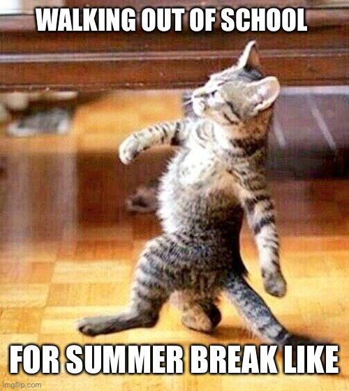 strutting cat | WALKING OUT OF SCHOOL; FOR SUMMER BREAK LIKE | image tagged in strutting cat | made w/ Imgflip meme maker