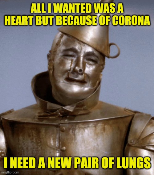 ALL I WANTED WAS A HEART BUT BECAUSE OF CORONA I NEED A NEW PAIR OF LUNGS | made w/ Imgflip meme maker