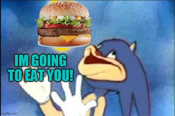 i have no idea | IM GOING TO EAT YOU! | image tagged in sonic derp | made w/ Imgflip meme maker