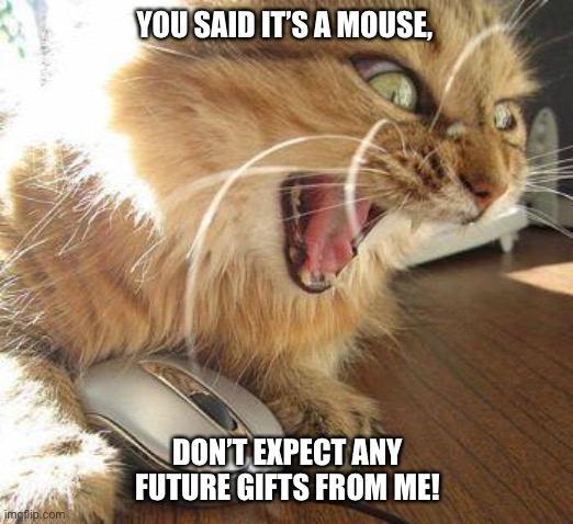 angry cat | YOU SAID IT’S A MOUSE, DON’T EXPECT ANY FUTURE GIFTS FROM ME! | image tagged in angry cat | made w/ Imgflip meme maker