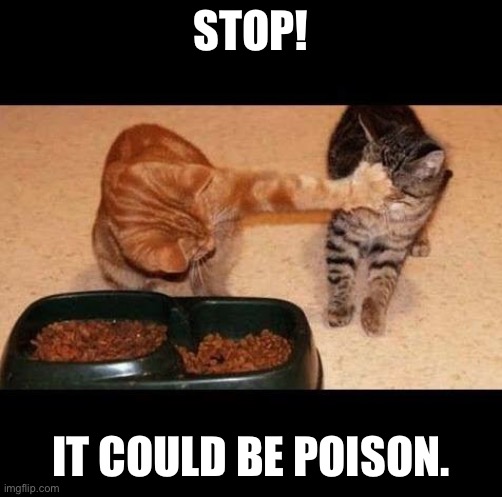 cats share food | STOP! IT COULD BE POISON. | image tagged in cats share food | made w/ Imgflip meme maker