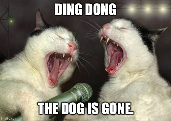 singing cats | DING DONG; THE DOG IS GONE. | image tagged in singing cats | made w/ Imgflip meme maker
