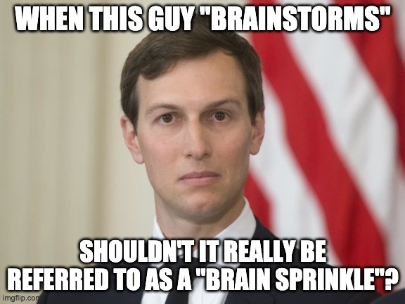 Kushner - Brain Sprinkle | WHEN THIS GUY "BRAINSTORMS"; SHOULDN'T IT REALLY BE REFERRED TO AS A "BRAIN SPRINKLE"? | image tagged in jared kushner,kushner,brain sprinkle,brain dead | made w/ Imgflip meme maker