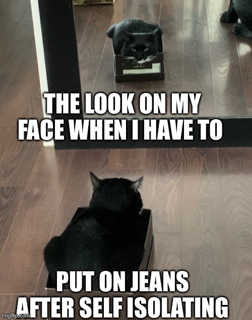 THE LOOK ON MY FACE WHEN I HAVE TO; PUT ON JEANS AFTER SELF ISOLATING | image tagged in self isolation,fat cat | made w/ Imgflip meme maker
