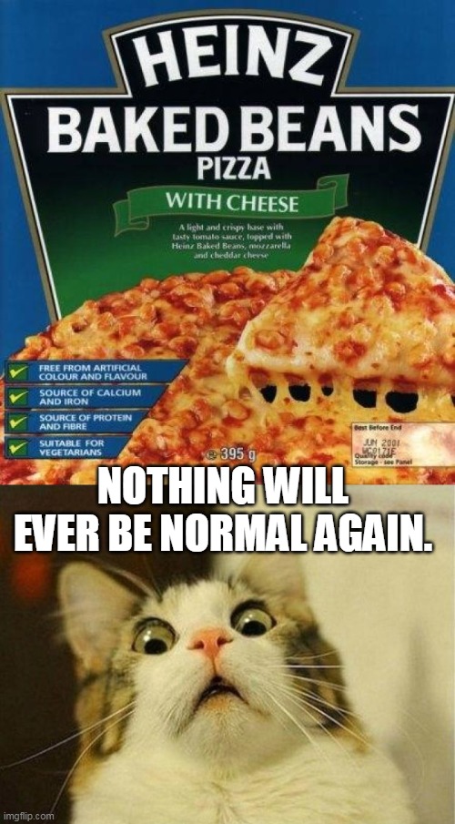you  usually get a lot of choices with frozen pizza | NOTHING WILL EVER BE NORMAL AGAIN. | image tagged in pizza,fine dining,just try it,that's what she said,meme | made w/ Imgflip meme maker