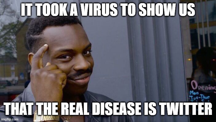 Roll Safe Think About It Meme | IT TOOK A VIRUS TO SHOW US; THAT THE REAL DISEASE IS TWITTER | image tagged in memes,roll safe think about it | made w/ Imgflip meme maker