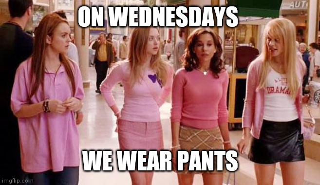 on wednesdays we wear pink | ON WEDNESDAYS; WE WEAR PANTS | image tagged in on wednesdays we wear pink | made w/ Imgflip meme maker