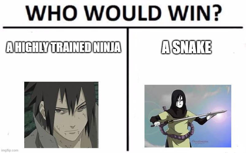 Who Would Win? Meme | A HIGHLY TRAINED NINJA; A SNAKE | image tagged in memes,who would win | made w/ Imgflip meme maker