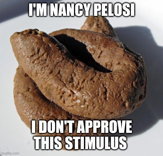 Poop | I'M NANCY PELOSI; I DON'T APPROVE THIS STIMULUS | image tagged in poop | made w/ Imgflip meme maker