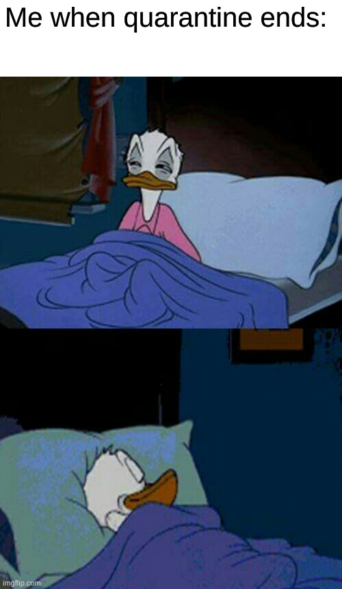 sleepy donald duck in bed | Me when quarantine ends: | image tagged in sleepy donald duck in bed | made w/ Imgflip meme maker