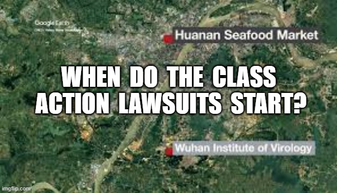 WHEN  DO  THE  CLASS  ACTION  LAWSUITS  START? | image tagged in coronavirus,wuhan,chinese virus | made w/ Imgflip meme maker