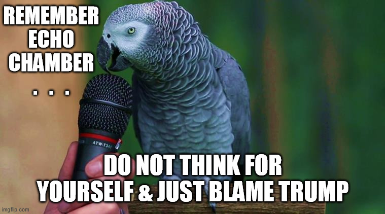ECHO CHAMBER | REMEMBER
ECHO CHAMBER
.   .   . DO NOT THINK FOR YOURSELF & JUST BLAME TRUMP | image tagged in politics,echo chamber,liberal logic,propaganda,dnc,fake news | made w/ Imgflip meme maker
