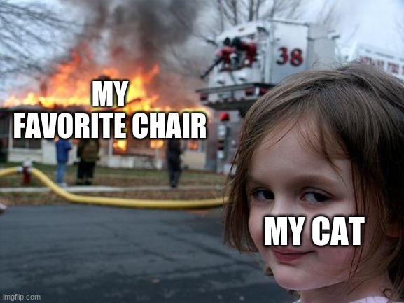 Disaster Girl Meme | MY FAVORITE CHAIR; MY CAT | image tagged in memes,disaster girl | made w/ Imgflip meme maker