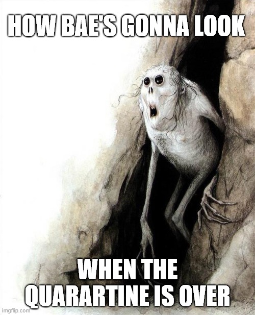 cave meme | HOW BAE'S GONNA LOOK; WHEN THE QUARARTINE IS OVER | image tagged in cave meme | made w/ Imgflip meme maker
