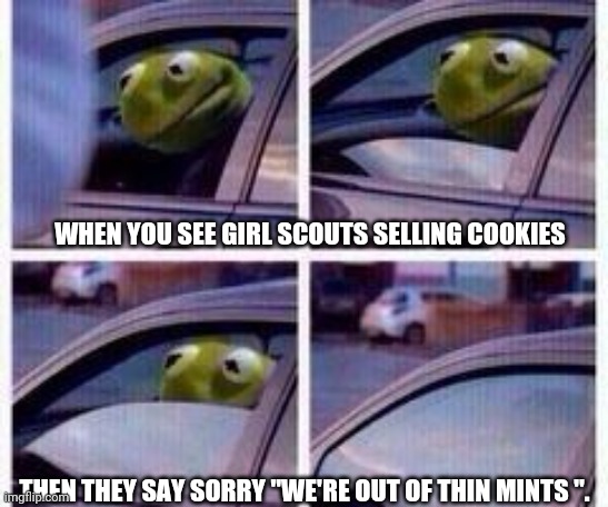 Kermit rolls up window | WHEN YOU SEE GIRL SCOUTS SELLING COOKIES; THEN THEY SAY SORRY "WE'RE OUT OF THIN MINTS ". | image tagged in kermit rolls up window | made w/ Imgflip meme maker