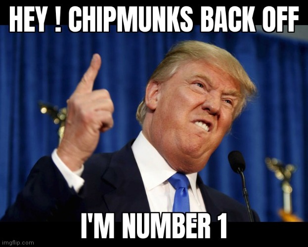 image tagged in donald trump,chipmunk,chipmunks,we are number one | made w/ Imgflip meme maker