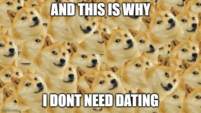 there are memes that give you company | AND THIS IS WHY; I DONT NEED DATING | image tagged in memes | made w/ Imgflip meme maker