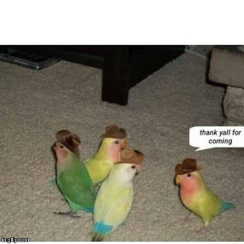 thank yall for coming | image tagged in thank yall for coming | made w/ Imgflip meme maker