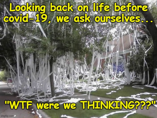 How I blew a fortune on the neighbor's house | Looking back on life before covid-19, we ask ourselves... "WTF were we THINKING???" | image tagged in covid-19,funny memes,toilet paper | made w/ Imgflip meme maker