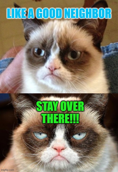 LIKE A GOOD NEIGHBOR; STAY OVER THERE!!! | image tagged in memes,grumpy cat,grumpy cat not amused | made w/ Imgflip meme maker