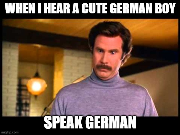 I never fall and I'm a steady person but.... | WHEN I HEAR A CUTE GERMAN BOY; SPEAK GERMAN | image tagged in anchorman i'm impressed | made w/ Imgflip meme maker