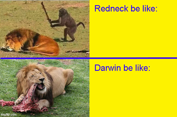 Darwin Rulz | image tagged in darwin,monkey,lion,redneck,meme,memes | made w/ Imgflip meme maker