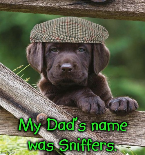 A Dog Talks About his Parents | My Dad's name was Sniffers. | image tagged in vince vance,dogs,sniff,funny dog memes,serious,new memes | made w/ Imgflip meme maker