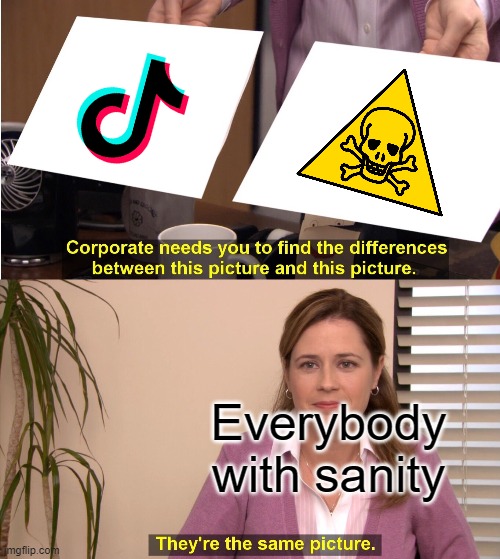 They're The Same Picture Meme | Everybody with sanity | image tagged in memes,they're the same picture | made w/ Imgflip meme maker