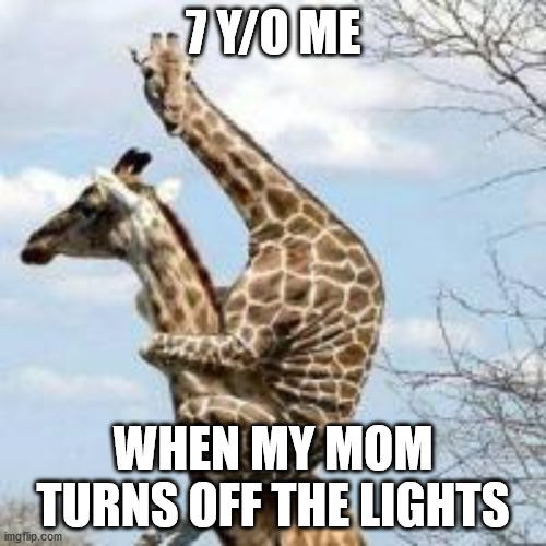 scared giraffe | 7 Y/O ME; WHEN MY MOM TURNS OFF THE LIGHTS | image tagged in scared giraffe | made w/ Imgflip meme maker
