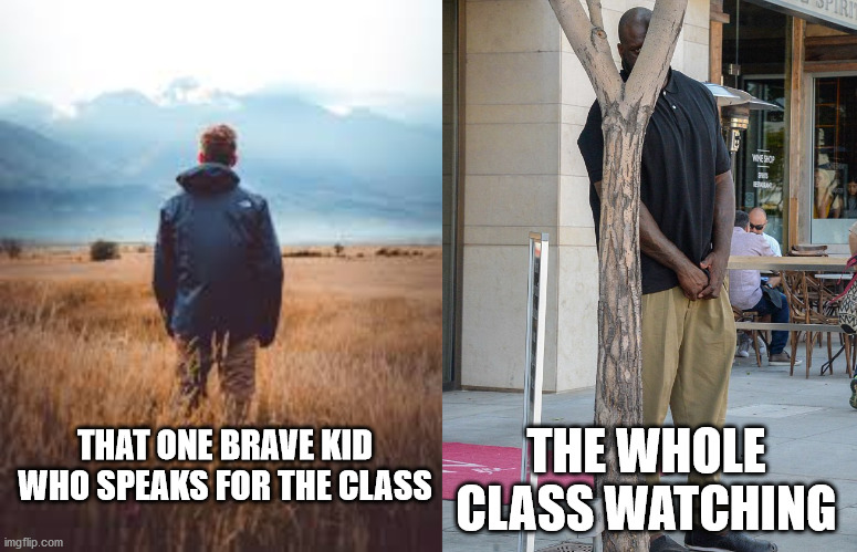 THE WHOLE CLASS WATCHING; THAT ONE BRAVE KID WHO SPEAKS FOR THE CLASS | image tagged in guy standing in field,man hiding behind a tree/pole | made w/ Imgflip meme maker