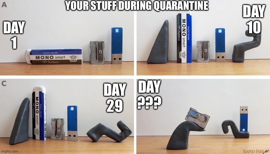 Your stuff during quarantine | YOUR STUFF DURING QUARANTINE; DAY 10; DAY 1; DAY ??? DAY 29 | image tagged in stuff,quarantine,coronavirus,covid-19,party,your stuff | made w/ Imgflip meme maker