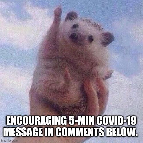 Encouraging Hedgehog |  ENCOURAGING 5-MIN COVID-19 MESSAGE IN COMMENTS BELOW. | image tagged in encouraging hedgehog | made w/ Imgflip meme maker