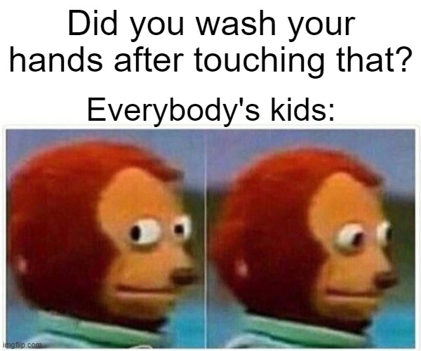 No but I touched my face all over! | Did you wash your hands after touching that? Everybody's kids: | image tagged in memes,monkey puppet,wash your hands,kids | made w/ Imgflip meme maker