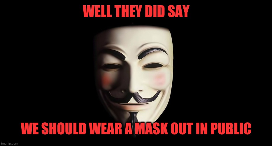 Wear a Face Mask, They Said... | WELL THEY DID SAY; WE SHOULD WEAR A MASK OUT IN PUBLIC | image tagged in guy fawkes,coronavirus,mask | made w/ Imgflip meme maker