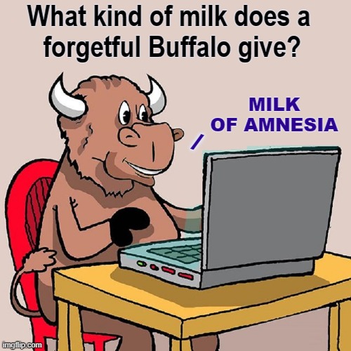 Ask Buffy Buffalo |  What kind of milk does a       forgetful Buffalo give? MILK OF AMNESIA; / | image tagged in vince vance,ask,buffy,buffalo,bad joke,new memes | made w/ Imgflip meme maker