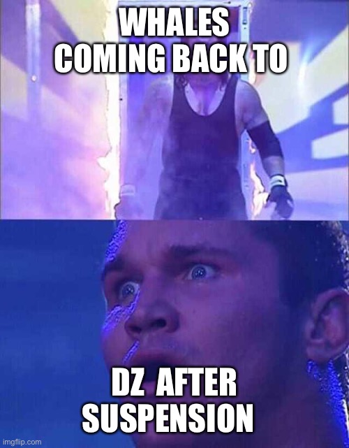 Undertaker Enters Arena | WHALES COMING BACK TO; DZ  AFTER SUSPENSION | image tagged in undertaker enters arena | made w/ Imgflip meme maker