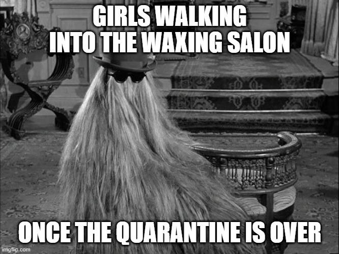 cousin itt | GIRLS WALKING INTO THE WAXING SALON; ONCE THE QUARANTINE IS OVER | image tagged in cousin itt | made w/ Imgflip meme maker