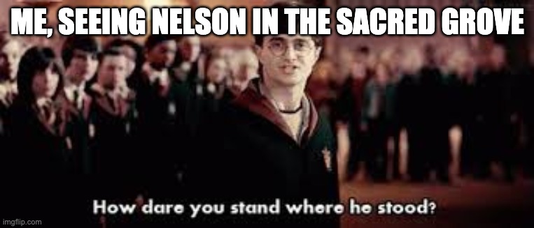 How dare you stand where he stood | ME, SEEING NELSON IN THE SACRED GROVE | image tagged in how dare you stand where he stood | made w/ Imgflip meme maker