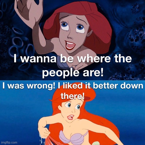 Disney little mermaid meme | image tagged in disney,the little mermaid,memes,funny memes,funny | made w/ Imgflip meme maker