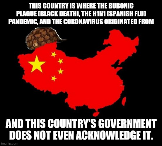 scumbag china | THIS COUNTRY IS WHERE THE BUBONIC PLAGUE (BLACK DEATH), THE H1N1 (SPANISH FLU) PANDEMIC, AND THE CORONAVIRUS ORIGINATED FROM; AND THIS COUNTRY'S GOVERNMENT DOES NOT EVEN ACKNOWLEDGE IT. | image tagged in scumbag china | made w/ Imgflip meme maker