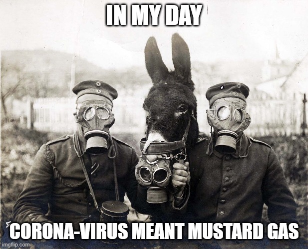 In someone's day | IN MY DAY; CORONA-VIRUS MEANT MUSTARD GAS | image tagged in coronavirus,fun | made w/ Imgflip meme maker