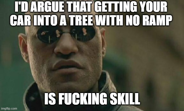 Matrix Morpheus Meme | I'D ARGUE THAT GETTING YOUR CAR INTO A TREE WITH NO RAMP IS F**KING SKILL | image tagged in memes,matrix morpheus | made w/ Imgflip meme maker